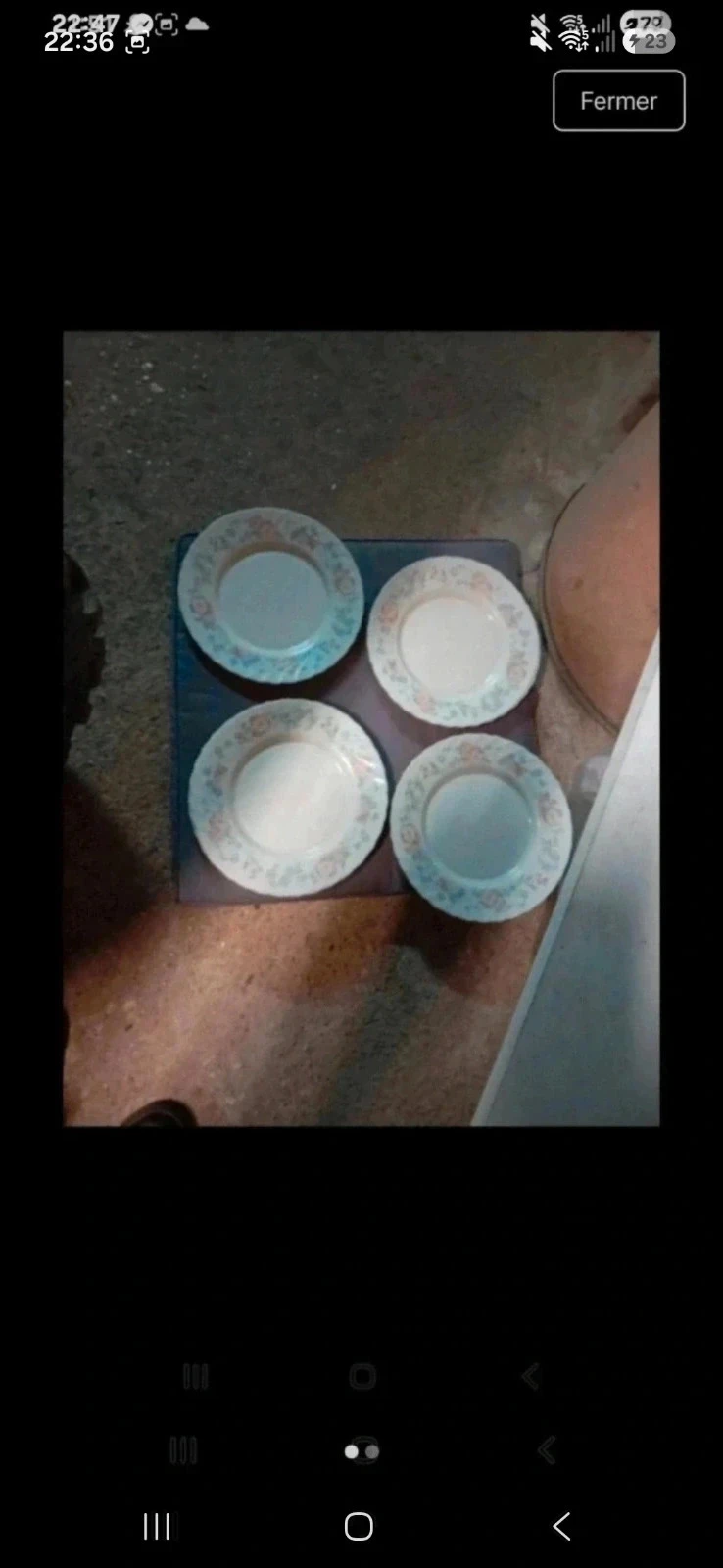 Arcopal plates – photo 2